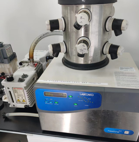 冷凍干燥技術揭秘：三大關鍵技巧助你成功制備凍干針劑