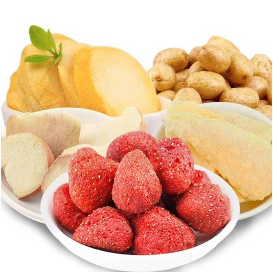 冷凍干燥技術(shù)