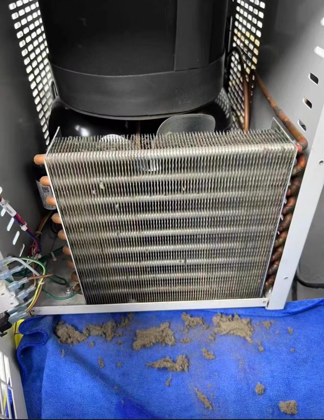 Labconco臺(tái)式凍干機(jī)壓縮機(jī)檢測(cè)